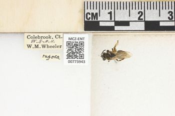 Media type: image;   Entomology 773943 Aspect: Labels